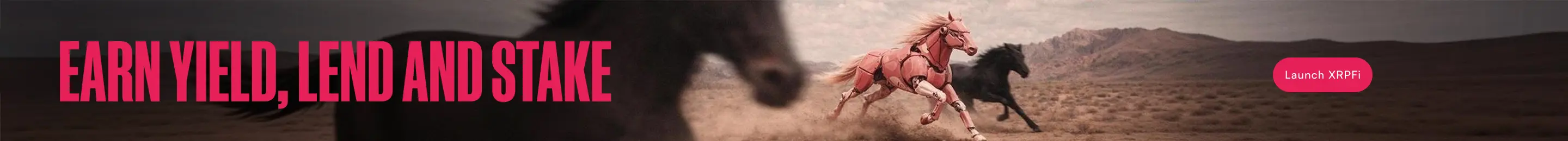 XRPFi banner with 'EARN YIELD, LEND AND STAKE' headline and 'Launch XRPFi' call-to-action button against a desert landscape with running horses